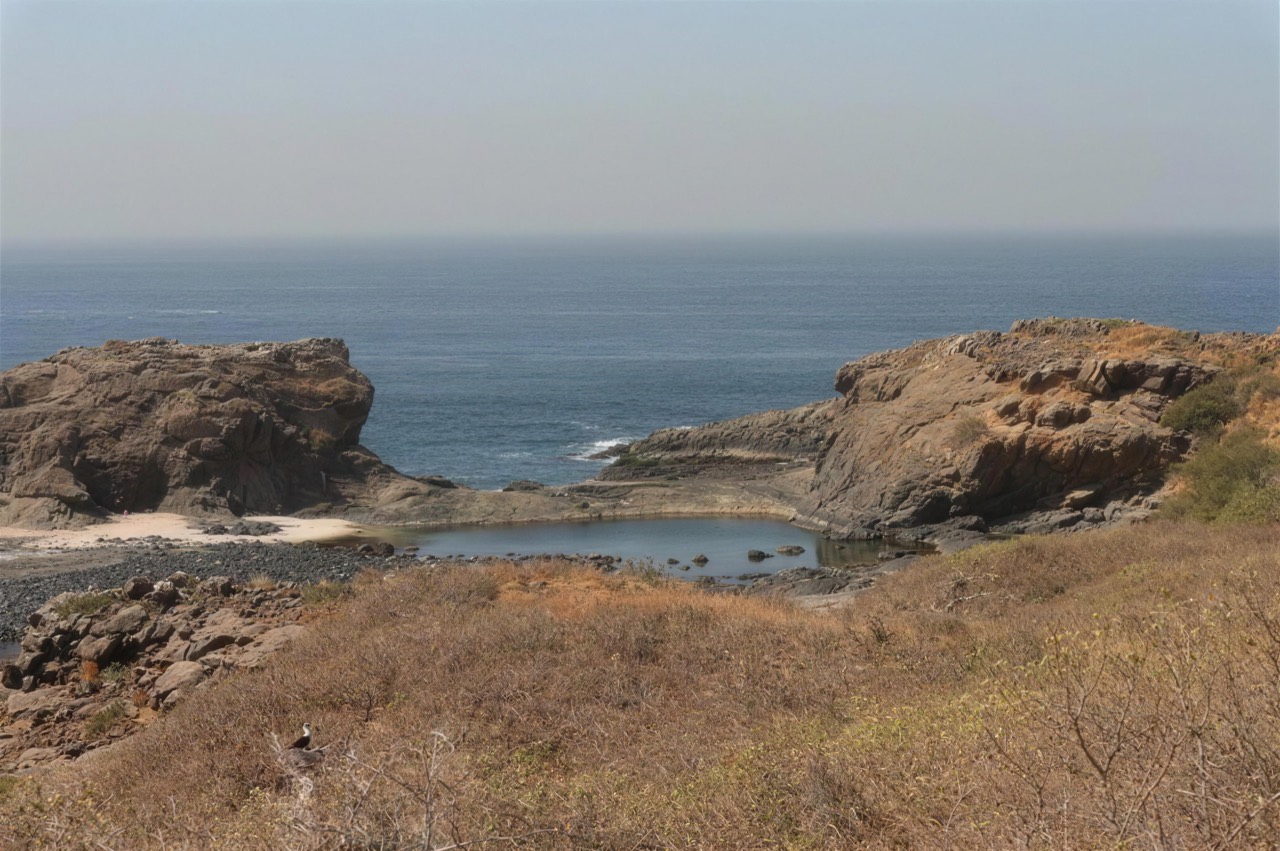 Cove and dry vegetation of Sarpan Island, Île des Madeleines - Île des Madeleines Dakar, Senegal Nautique