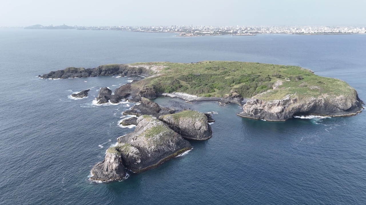 L’Îlot Sarpan vu du drone, avec la côte de Dakar à l’horizon - Sortie en mer Îlot Sarpan, Senegal Nautique